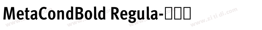 MetaCondBold Regula字体转换